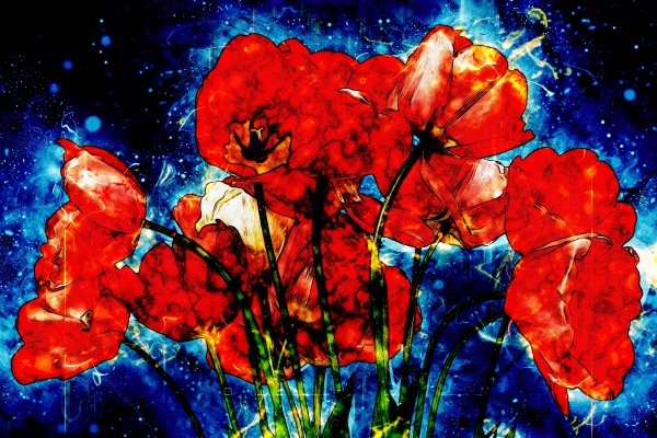 red tulips by Dagmar Marina